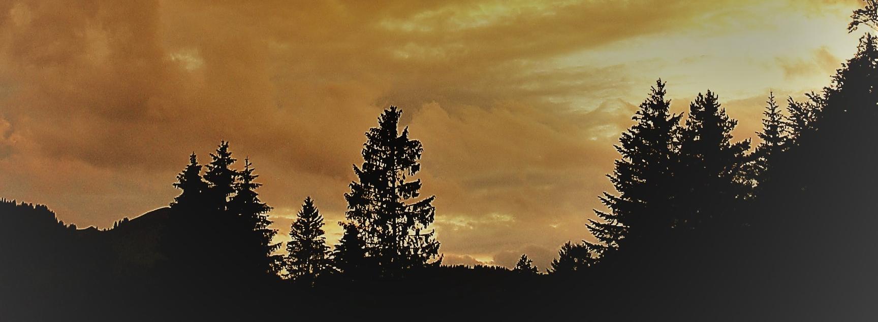 joycelamerichs's profile banner image