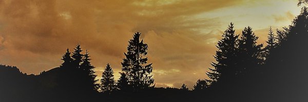 joycelamerichs Profile Banner