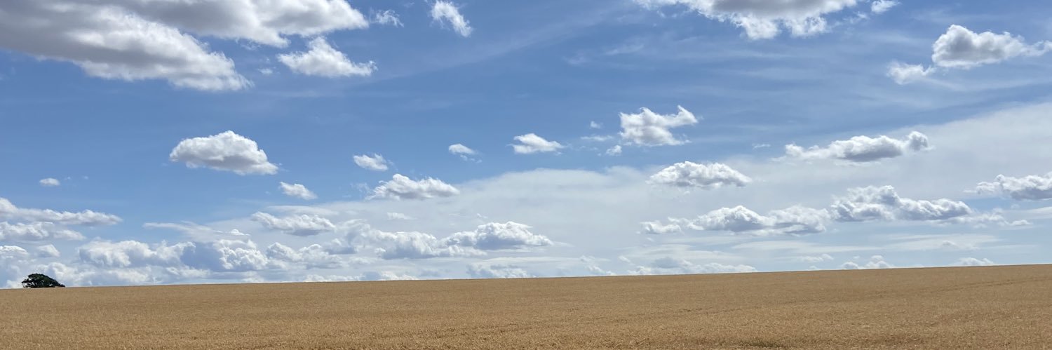 wellsy1981's profile banner image