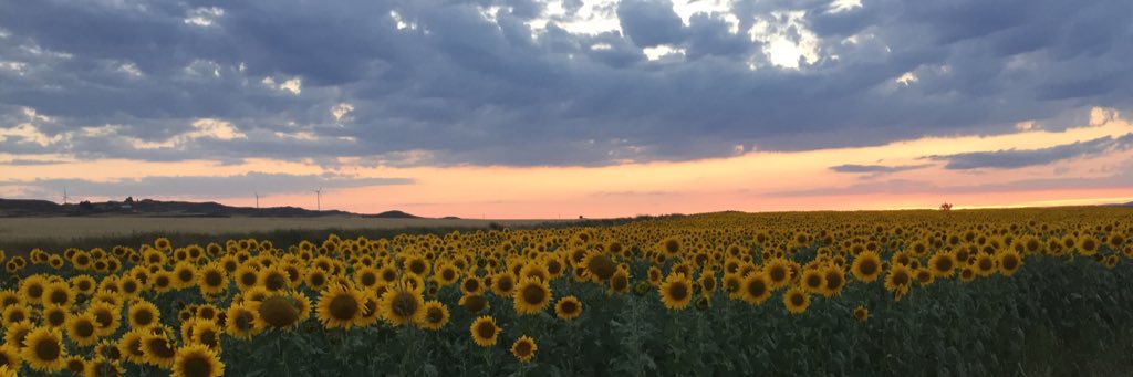 Manuel Fernández E. banner