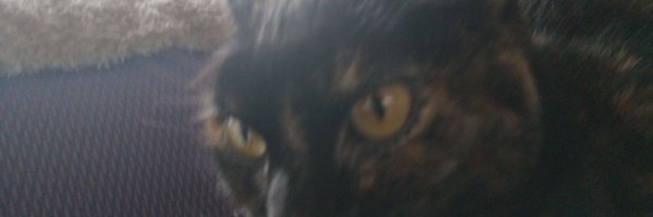 VicarioPepa Profile Banner