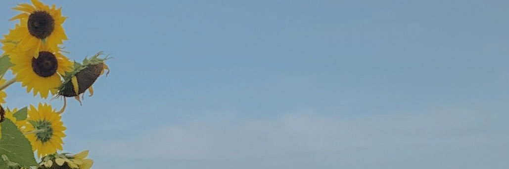 lisartikaw's profile banner image