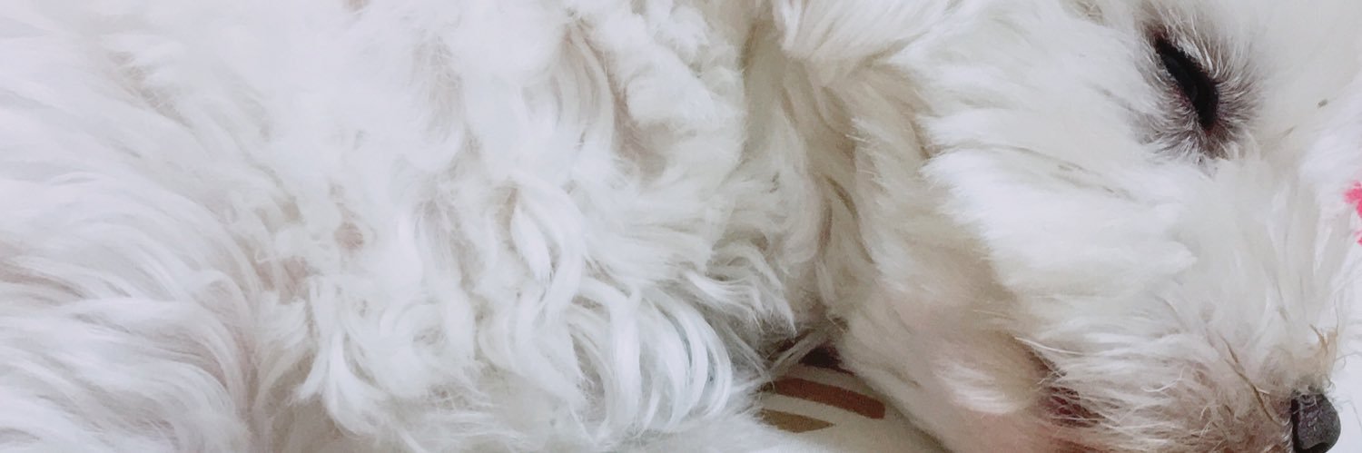 実菜 banner