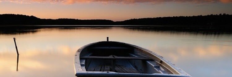 Mz_SquarePantss's profile banner image
