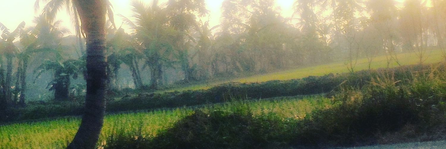 eydo_13's profile banner image