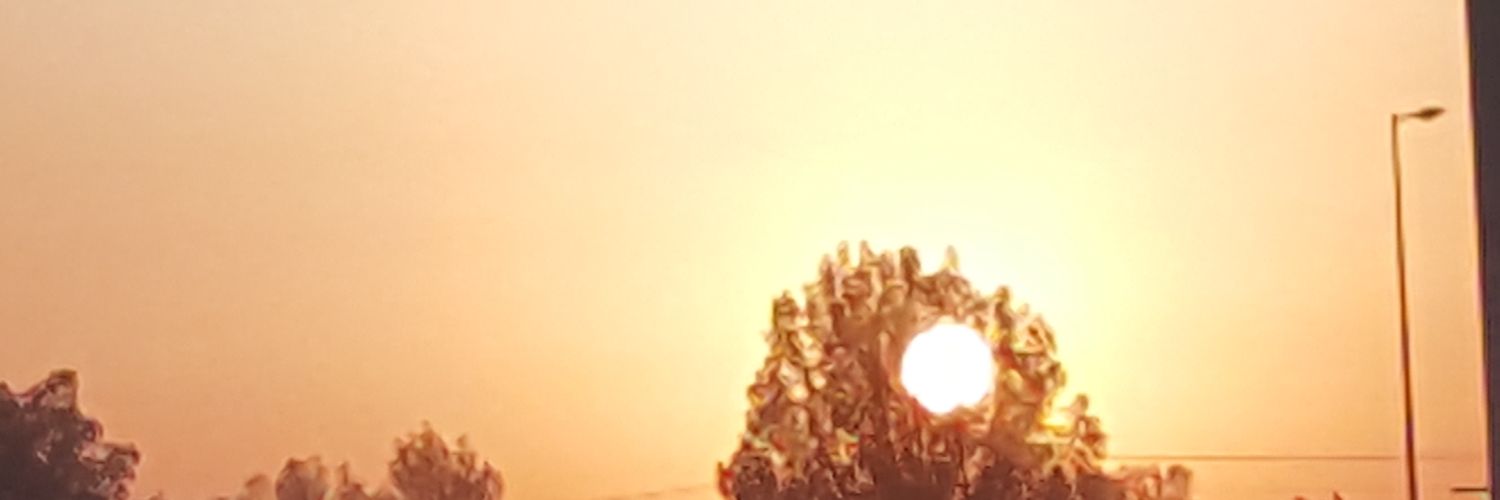 tony hadinsom banner