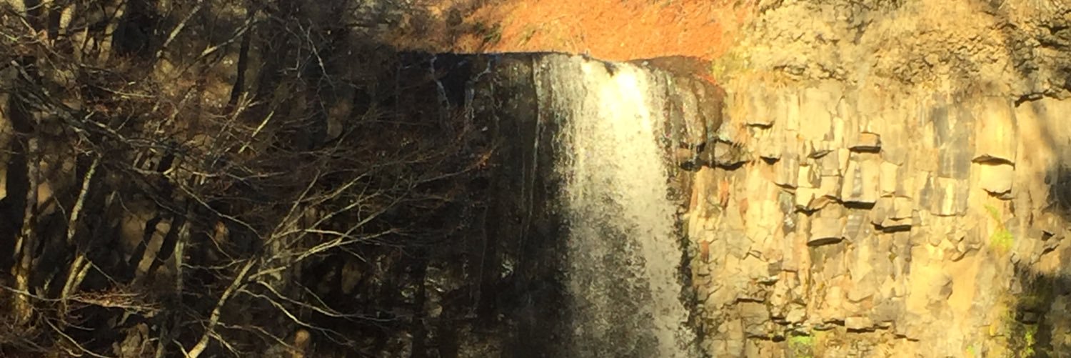 SaubusseC's profile banner image