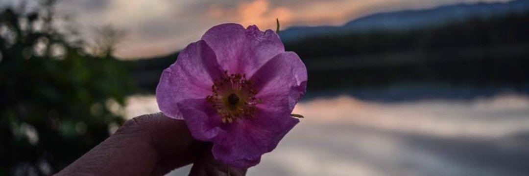 AndrewLilbooty's profile banner image