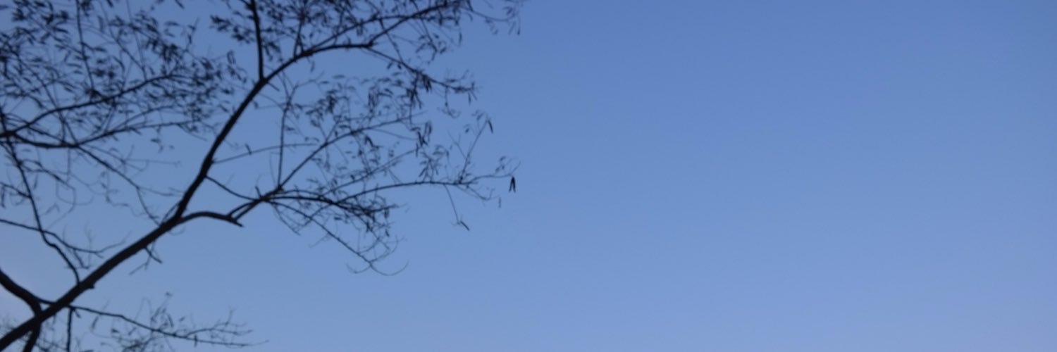 phiphiisle's profile banner image