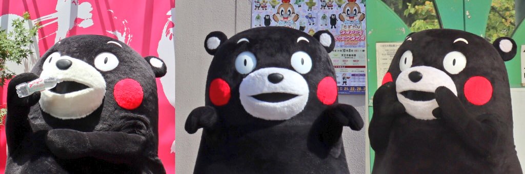 kumako551's profile banner image