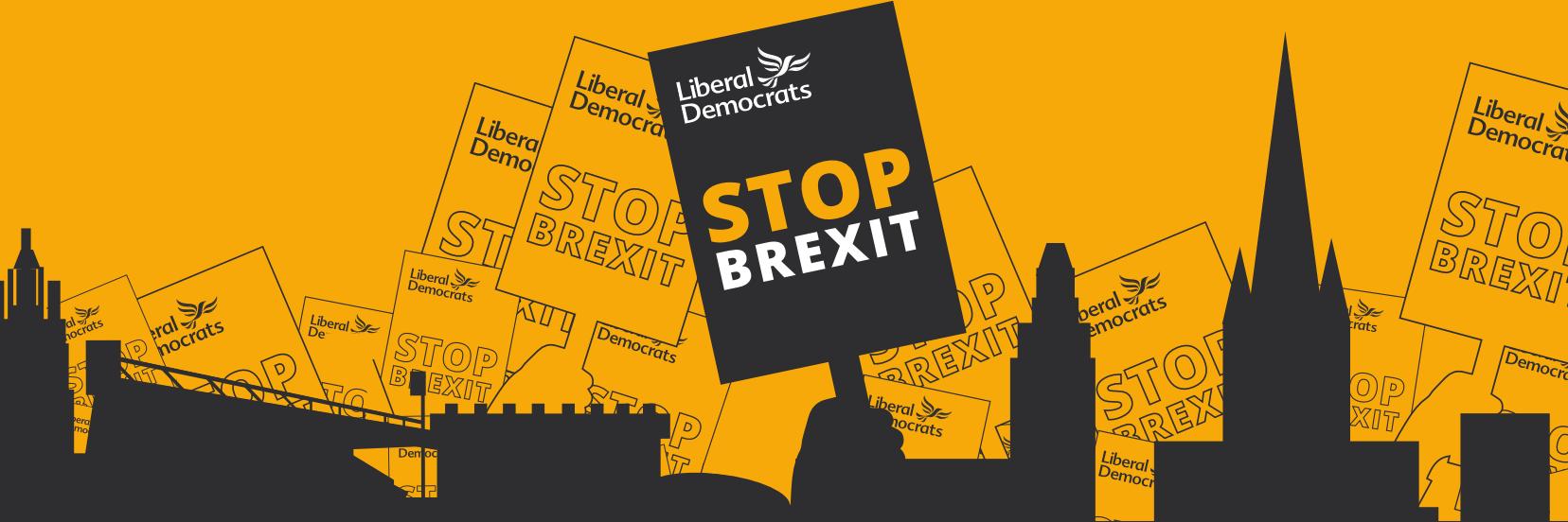 Norwich Lib Dems banner