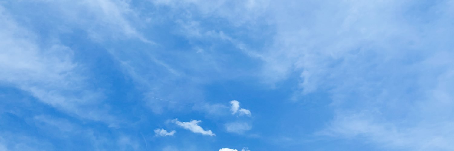 birdn0305's profile banner image
