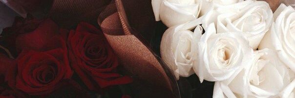 PavlovaLida's profile banner image