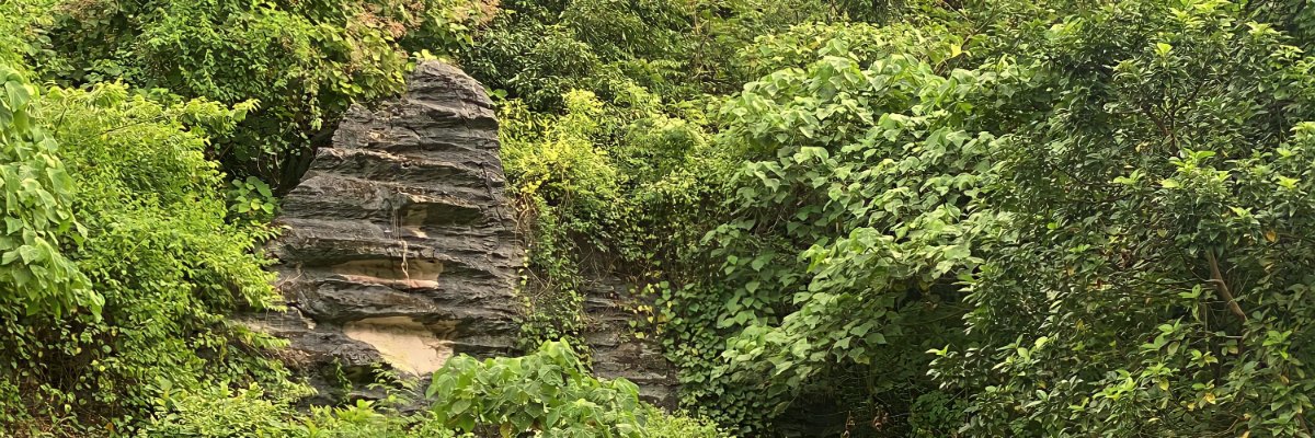 _clndlfnltg's profile banner image