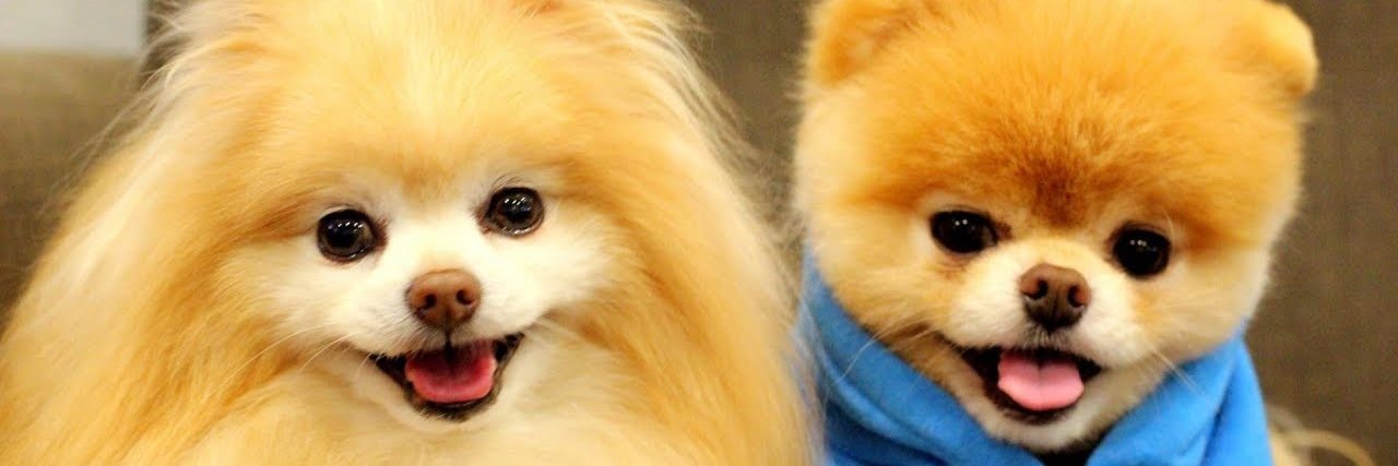 変 Cheli®s 変 banner