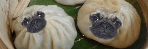 tayybites's profile banner image