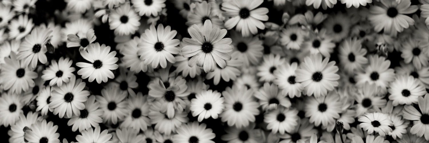 Crazyroxy101's profile banner image