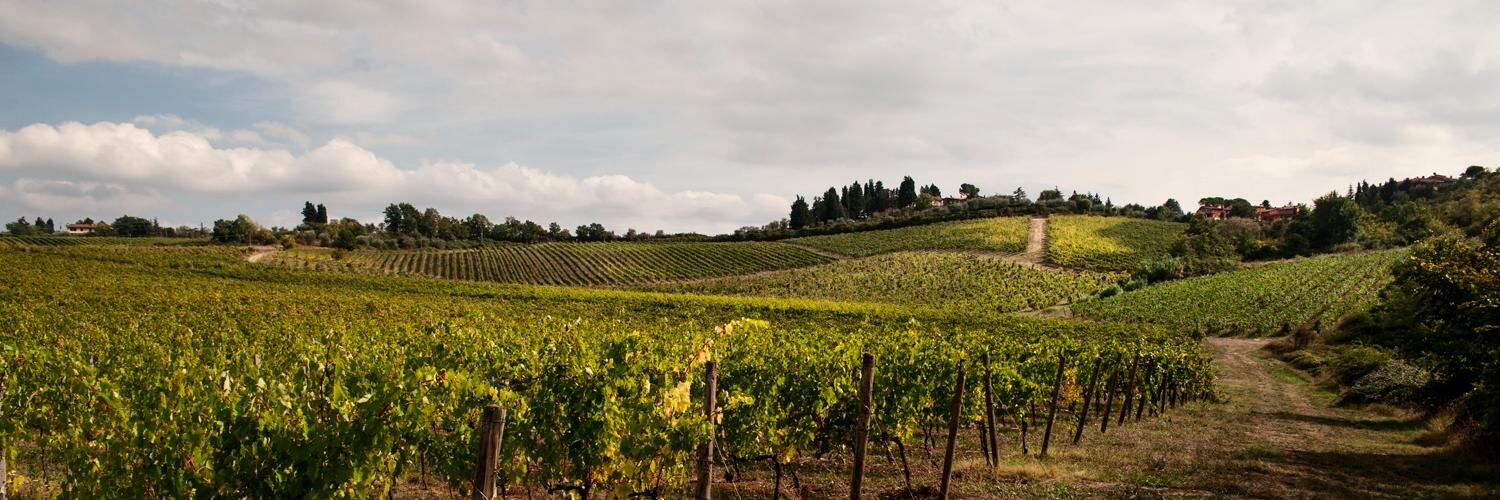 FPetriolo's profile banner image