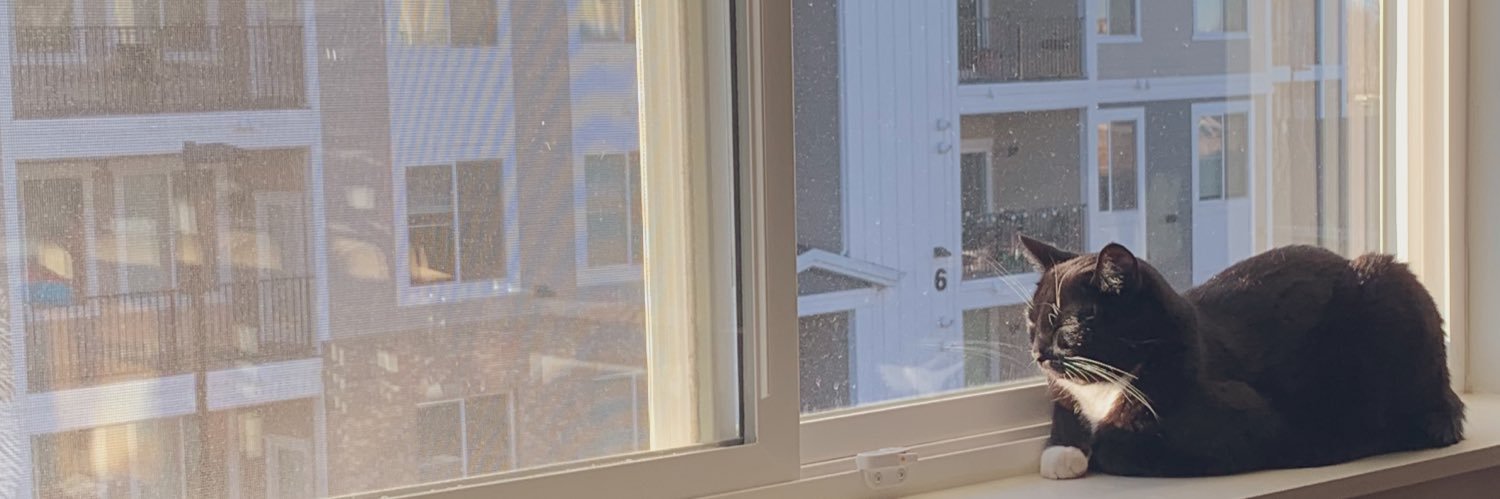 _xBee's profile banner image