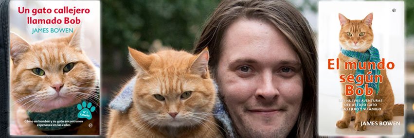 GatoBob's profile banner image