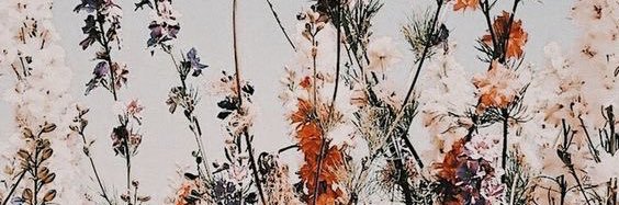 nmutuahall's profile banner image