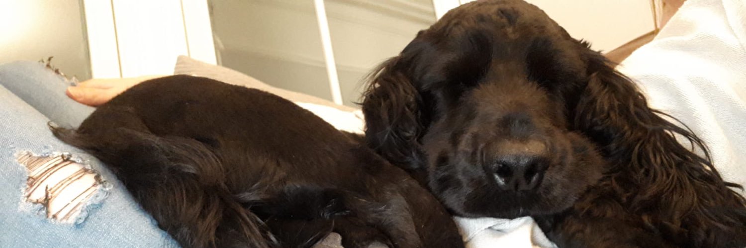 tors/torz ♿️🧩 banner