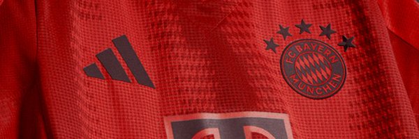 FC Bayern Munich Profile Banner