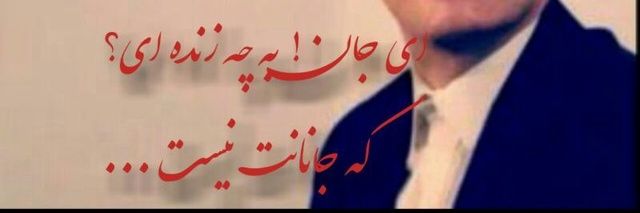 sarokorg's profile banner image