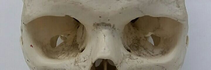 Emanuelle357's profile banner image