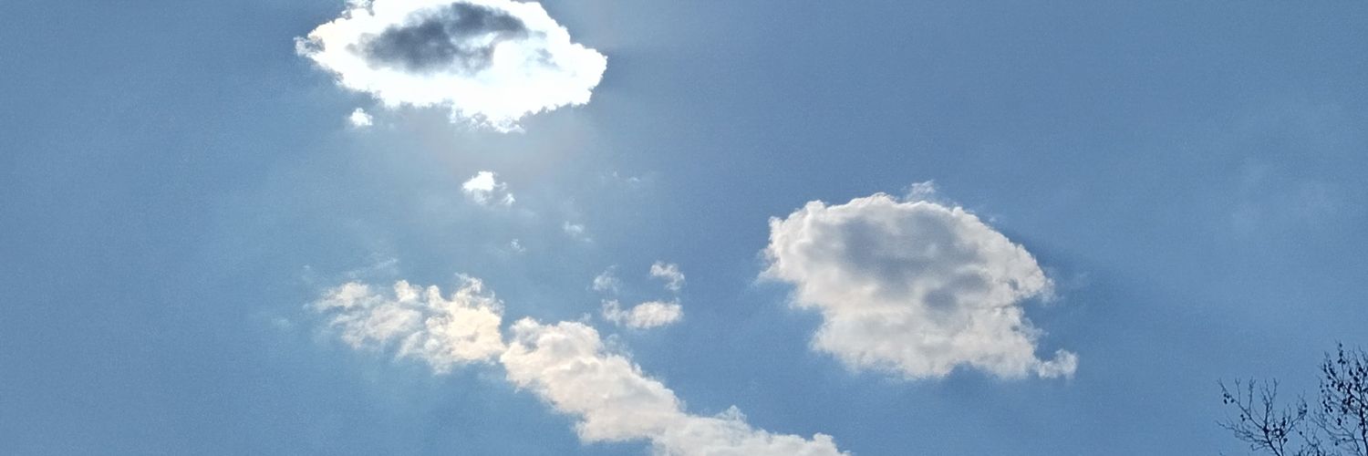 vstantch's profile banner image