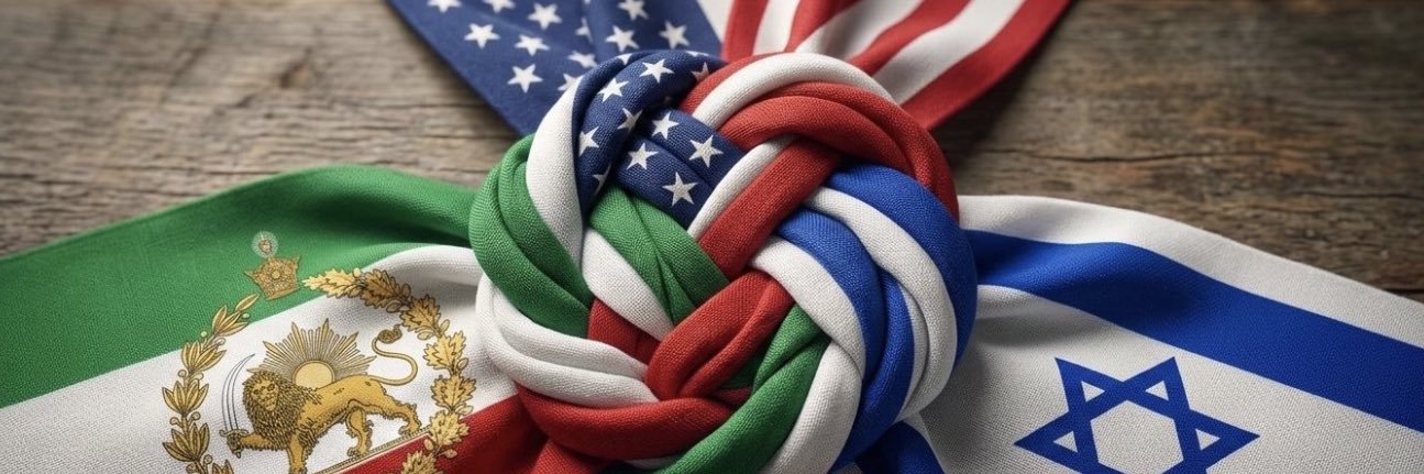 Susan Holden Martin, MBA, J.D. ✨🇺🇸🇮🇱 banner