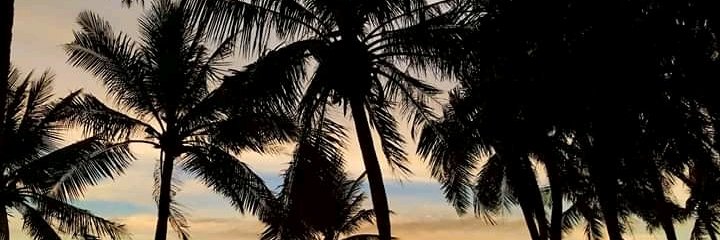 thenuthazelnut's profile banner image