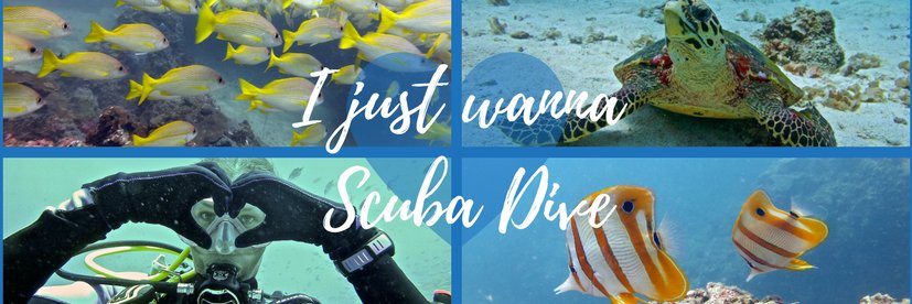 AndyScubaDiving's profile banner image