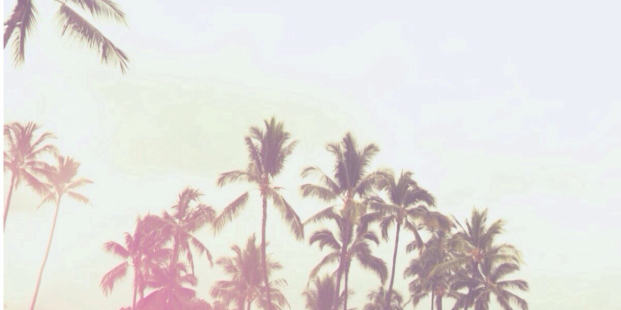 malena_bravo's profile banner image