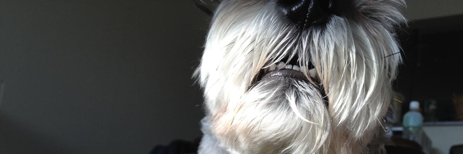 trma56's profile banner image