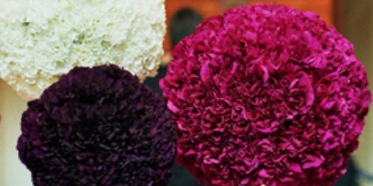 rlevts's profile banner image