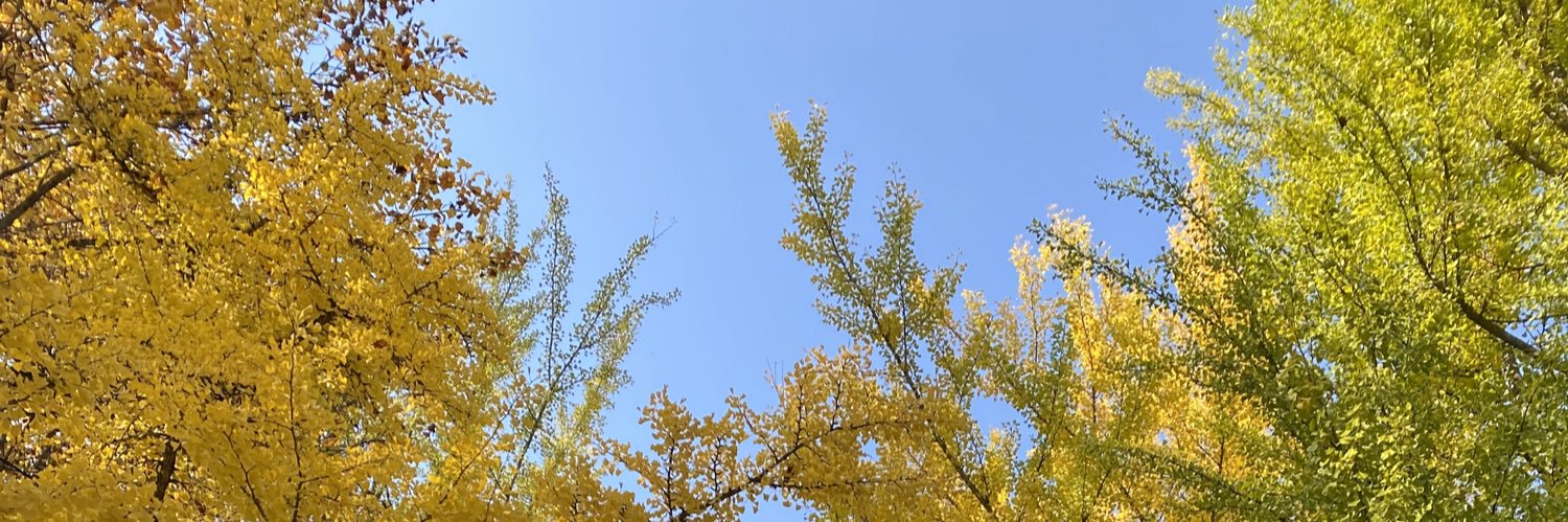 ty_ktmt's profile banner image