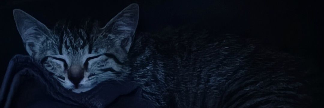 Fanfouer734's profile banner image
