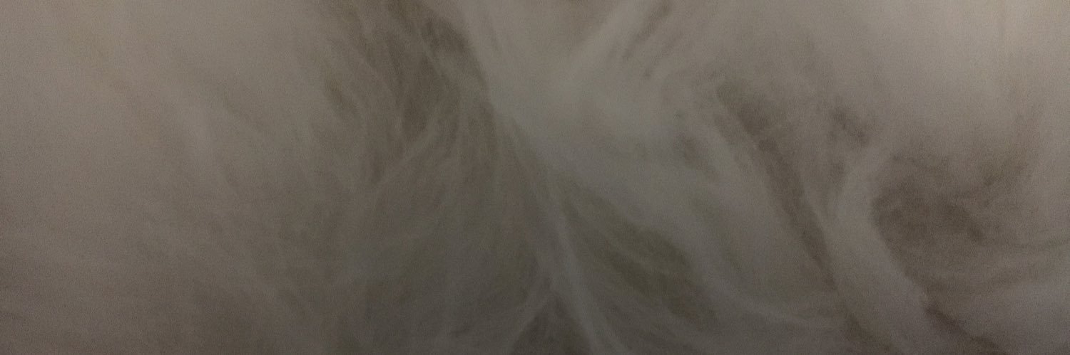 ecru_chan's profile banner image