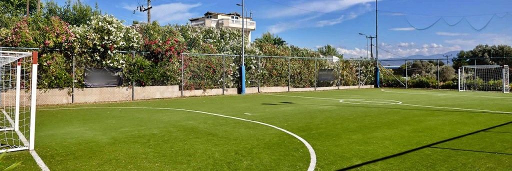 World Minifootball Federation banner