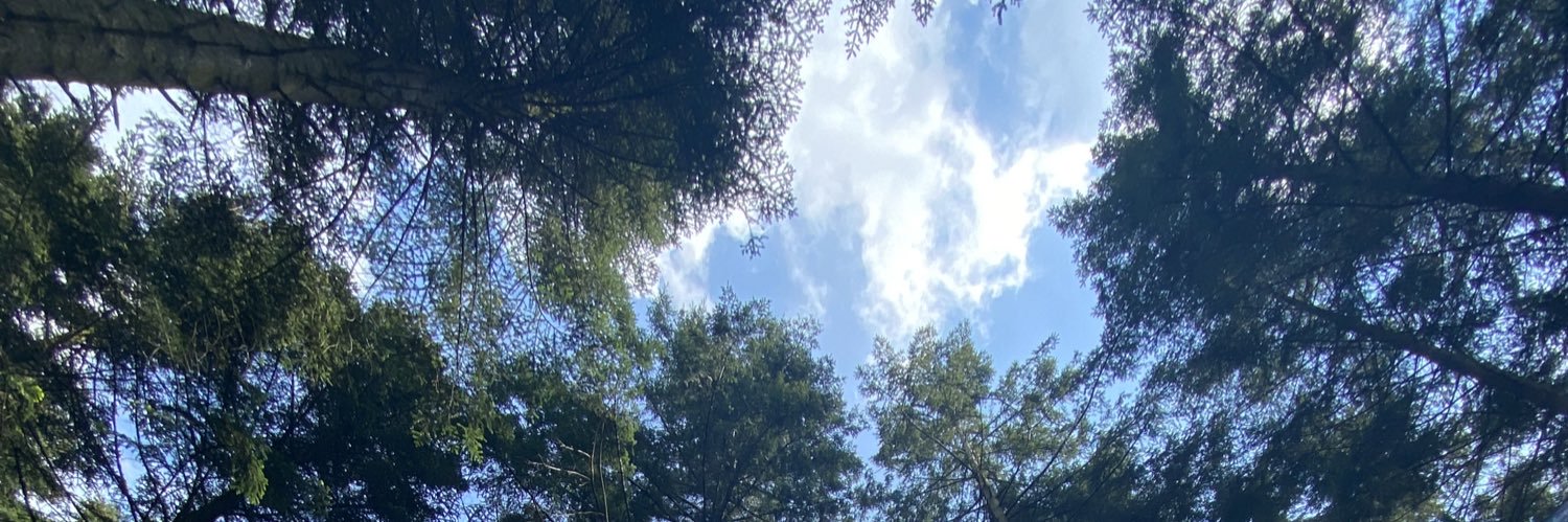 AfallouxAlm's profile banner image