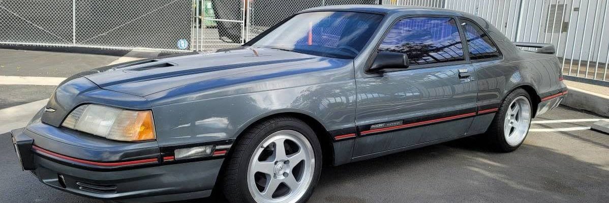 foxhound81572's profile banner image