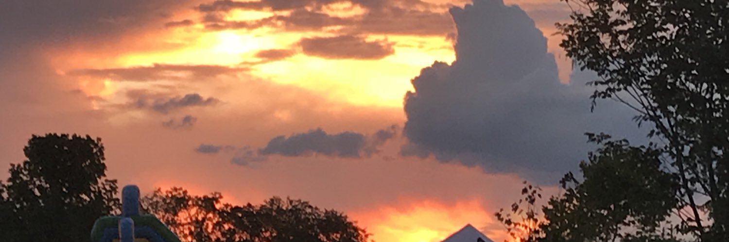 templetonRachel's profile banner image