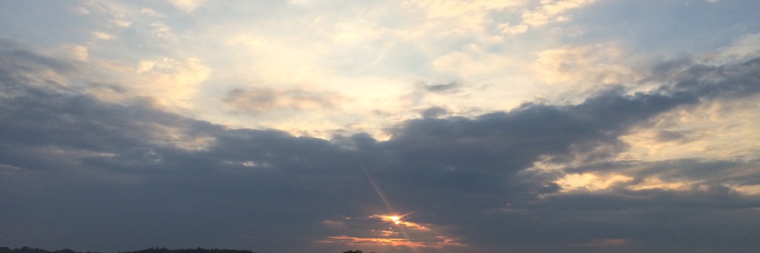 IlsePol's profile banner image