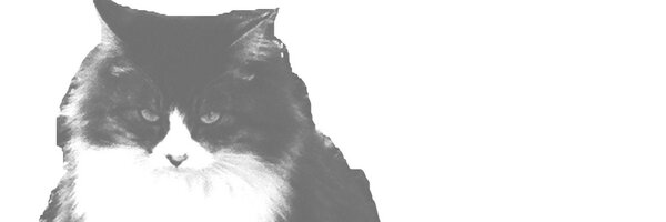 satoripple Profile Banner