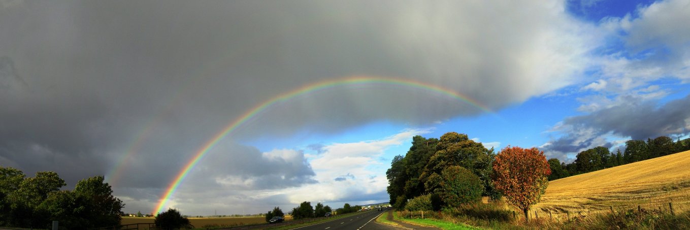 Prof Jayant Vaidya banner