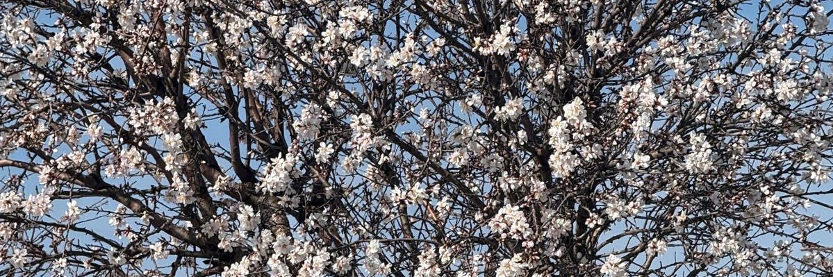 tugbaemanet's profile banner image