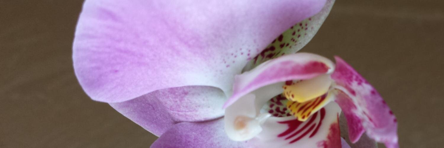 AgentLouie's profile banner image