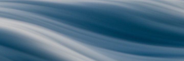 dashelon's profile banner image