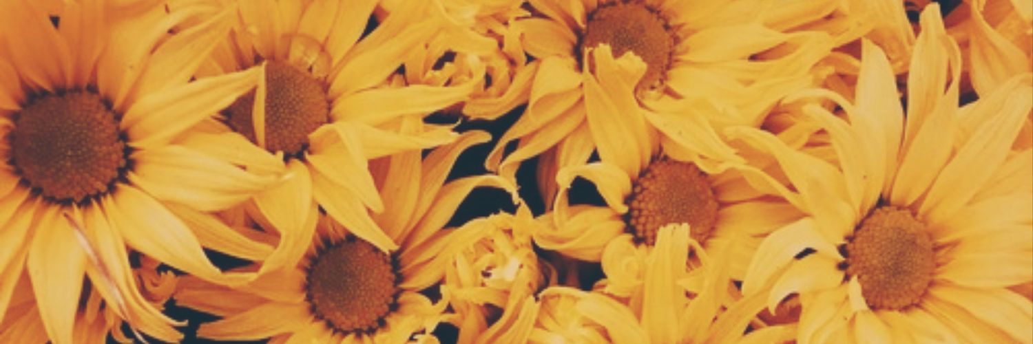 lovewithnarry_'s profile banner image